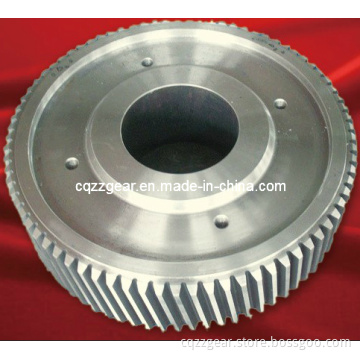 Spur Gear